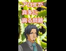 【多肉植物】アロエが腐る問題について【ソフトウェアトーク解説】
