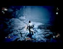 【 Lords of the Fallen 】 #11