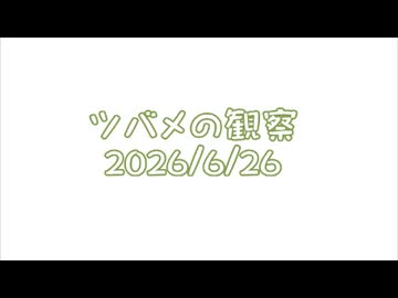 つばめの観察2026No025