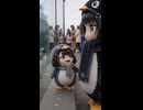 ケツデカピングー
