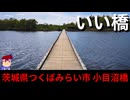 【いい橋　茨城県　小目沼橋】木造ツヨメ編。【バーチャルいいゲーマー】