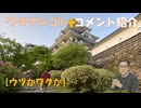ワクチン懸念無いと言ってる政治家は信用できない！（転落死） この子もワクチンが原因？農家さん困ってる話は色々聞きますJAの修理代バカ高い等！←コメ【アラ還・読書中毒】私事：その死はウツか？ワクか？