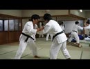 柔道⑰。(AI動画)