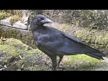6月の面倒なヤツラー　その1