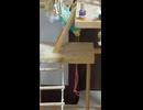 隙間にインコ　ショート動画2026 6 27