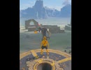 【 BotW 】玉入れの協力プレイ ( Thanks for your help )【 ドリカラ 】ショート動画