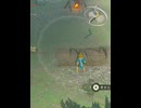 【 BotW 】武器を拾えるかな？ ( Can you  pick up weapons？ )【 ドリカラ 】ショート動画