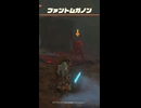 【ティアキン】タイアモン川下流の洞窟のファントムガノン　ゼルダの伝説ティアーズオブザキングダムNintendo Switch 2 Edition