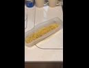 ずぼら飯なりに美味いヤツを作る日もある