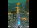 【 BotW 】Ｔモリ ( T - Moblin  )【 ドリカラ 】ショート動画