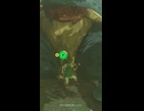 【ティアキン】ダライト森林の青ヒノックス　ゼルダの伝説ティアーズ オブ ザ キングダムNintendo Switch 2 Edition