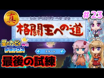 【星のカービィWiiデラックス】最後の試練！真格闘王への道！ ＃２３(終)【ボイロ実況】