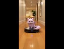 掃除機業界はこれからどうなってしまうの