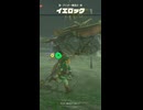 【ティアキン】グリオー橋西のイエロック　ゼルダの伝説ティアーズ オブザキングダムNintendo Switch 2 Edition