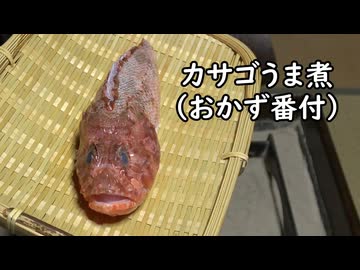 カサゴのうま煮（おかず番付）【長火鉢とおっさん 457】