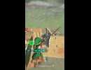 【ティアキン】ハイラル城西のイエロック　ゼルダの伝説ティアーズ オブザキングダムNintendo Switch 2 Edition