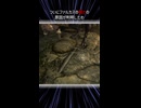 【Skyrim】なぜファルカスはここまで弱いのでしょうか？