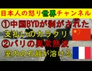 【中国BYDがついに剥がされた】支払いのシステムに隠されたカラクリがあり膨大な債務超過が発覚【フランス異常高温】石鹸が溶けた！バスが衝突！頭から水！でもエアコン使わない！