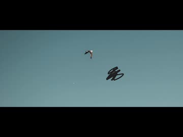 片目片翼／ナースロボ＿タイプT
