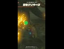 【ティアキン】闘技場跡地の雷電グリオーク　ゼルダの伝説ティアーズオブザキングダムNintendo Switch 2 Edition