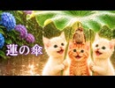 【猫ドラマ】蓮の傘の物語