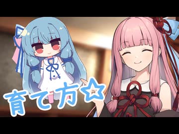 みなさんに琴葉葵の育て方を教えましょう【VOICEROID劇場】