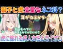 【Minecraft】獅白ぼたんと虎金妃笑虎の猫科トークと思わせてネコ科に憧れる成人女性の相談会【ホロライブ切り抜き】