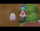 小さい生き物ってなぜかわいんだ？【牧場物語 Let's!風のグランドバザール】#13