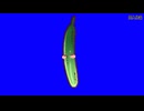 キュウリム