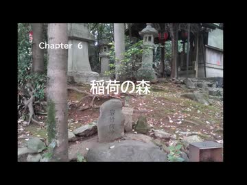 京都SF(すこしふしぎ)探検隊⑥「稲荷の森」