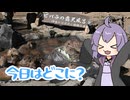 【結月ゆかり車載】今日はどこに？伊豆シャボテン公園/大室山