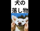 コンビニ客のたわけ者   ST