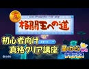 【星のカービィWiiデラックス】真格闘王への道 初心者向けクリア講座