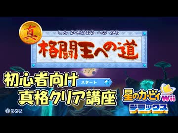 【星のカービィWiiデラックス】真格闘王への道 初心者向けクリア講座