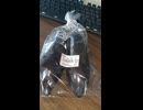 #YMDD_795 EXT 一期家一笑：豊橋産石田茄子＝焼きナス【山田飯】