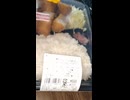 #YMDD_797 EXT ローソン：厚切りロースとんかつ弁当