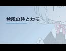 【日記】 2026年06月27日: 台風の跡とカモ