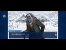 【FGO】アナスタシア11 (2)