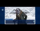 【FGO】アナスタシア12 (2)