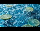 【歌ってみた】サイダー／CHiCO with HoneyWorls
