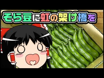 【ゆっくり自由帳】そら豆に虹の架け橋を