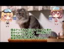【ゆっくり怖い話】忘れ物【人怖】47