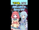 この美人さん、実はポケモンです。【ポケ擬とは/夕ヶ浜レイウ】#ポケモン #shorts