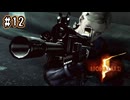 【ぽつぽつ実況 #12 End】DESPERATE ESCAPE【BIOHAZARD5】