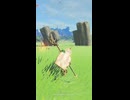 【ティアキン】唄ドリの草原付近　急に現れるイーガ団団員　ゼルダの伝説ティアーズ オブ ザ キングダムNintendo Switch 2 Edition