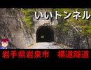 【いいトンネル　岩手岩泉　横道隧道】▲編。【バーチャルいいゲーマー】