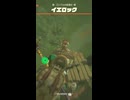 【ティアキン】ゴングルの街道のイエロック　ゼルダの伝説ティアーズ オブザキングダムNintendo Switch 2 Edition