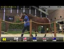 【2026 北海道トレーニングセール】上場番号31～60