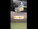 なぜか襲われた日□