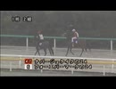 【2026 千葉サラブレッドセール】 公開調教第1組